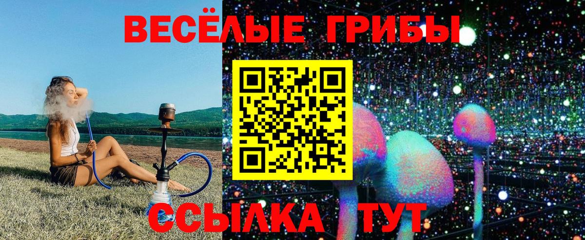Псилоцибиновые грибы Cubensis Кыштым